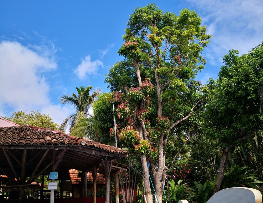Imagen general del Hotel Nany. Foto 13