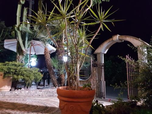 Imagen general del Hotel Nautilus, Nicotera. Foto 2