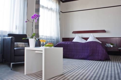 Imagen general del Hotel Neuer Karlshof. Foto 3