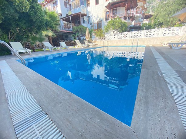 Imagen de la piscina del Hotel Nil. Foto 18