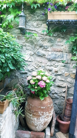 Imagen de la habitación del Hotel Nilya - Special Class. Foto 16