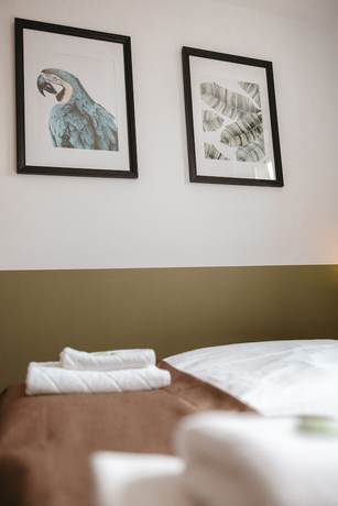 Imagen de la habitación del Hotel North. Foto 19