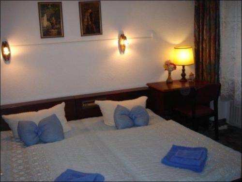 Imagen general del Hotel Novalis. Foto 3