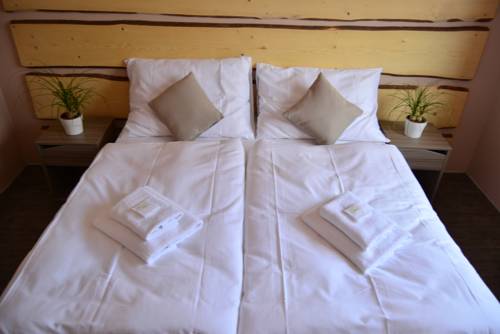 Imagen de la habitación del Hotel Obzor. Foto 13