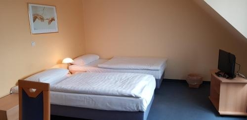 Imagen general del Hotel Oggersheimer Hof. Foto 3