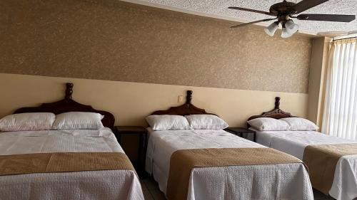 Imagen general del Hotel Palacio. Foto 1