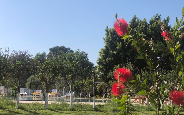 Imagen de los exteriores del Hotel Palme Dalyan. Foto 17