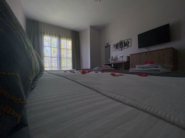 Imagen de la habitación del Hotel Palme Dalyan. Foto 10