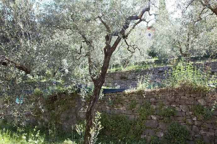 Imagen de la habitación del Hotel Paradiso, Torbole Sul Garda. Foto 8
