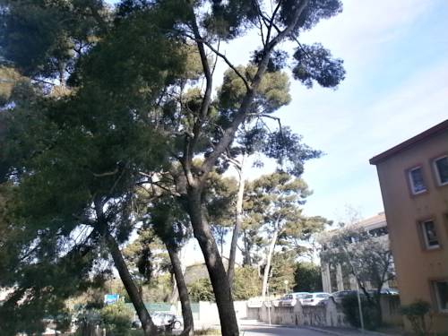 Imagen de la habitación del Hotel Parc Azur Toulon. Foto 12