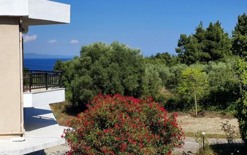 Imagen de la habitación del Hotel Pashos. Foto 19