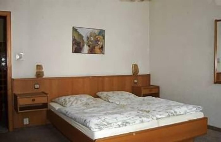 Imagen de la habitación del Hotel Pension am Kurmittelhaus. Foto 7