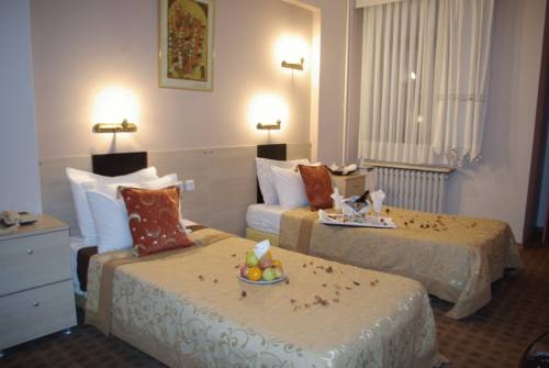 Imagen general del Hotel Petrol Palace. Foto 7