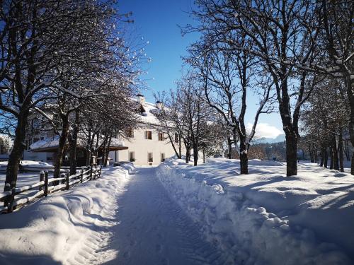 Imagen general del Hotel Pietralba. Foto 8