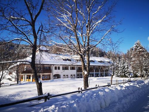 Imagen general del Hotel Pietralba. Foto 9