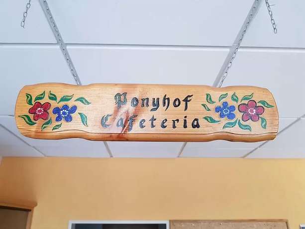 Imagen de los interiores del Hotel Ponyhof. Foto 9