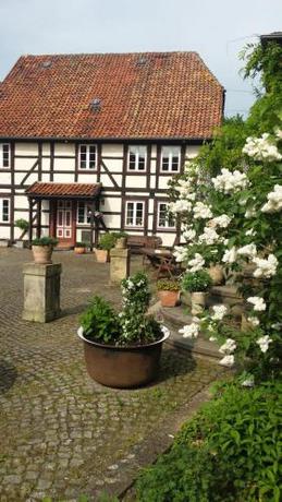 Imagen general del Hotel Rautenberghof. Foto 8