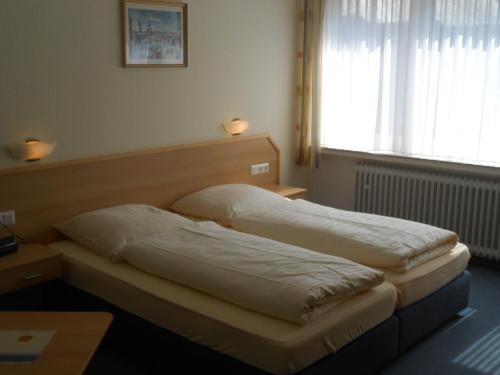Imagen general del Hotel Rebstock. Foto 6