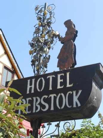 Imagen general del Hotel Rebstock. Foto 9
