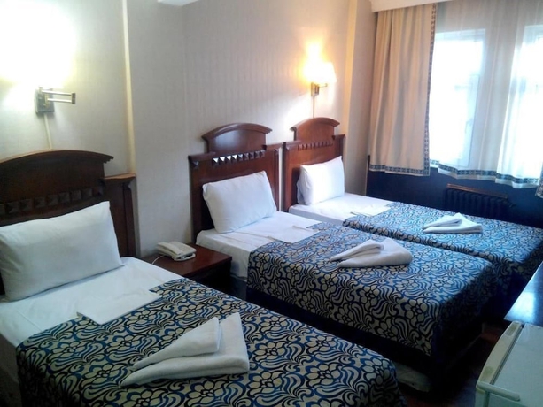 Imagen de la habitación del Hotel Red Rose. Foto 12