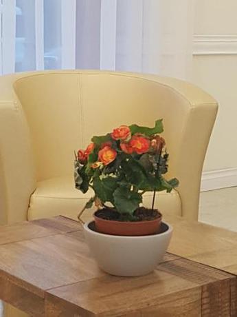 Imagen general del Hotel Regina Margherita. Foto 5