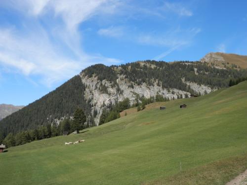 Imagen general del Hotel Regnum Zegg. Foto 10