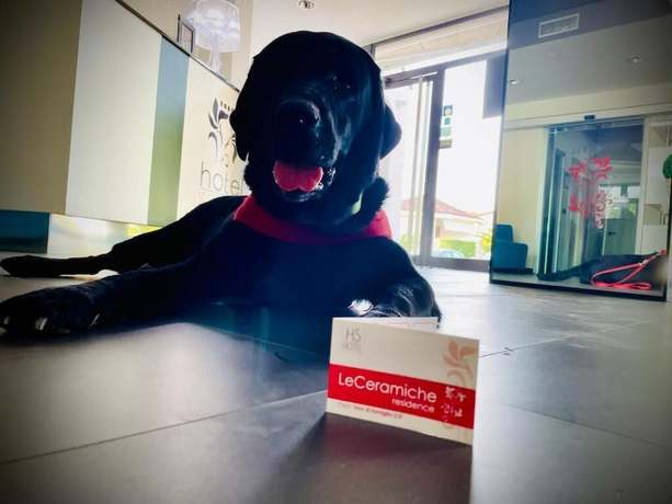 Imagen general del Hotel Residence Le Ceramiche. Foto 3