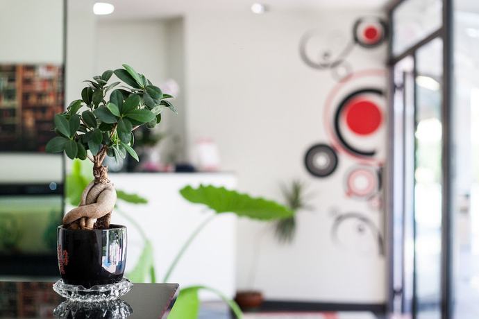 Imagen de los interiores del Hotel Residence Le Ceramiche. Foto 20