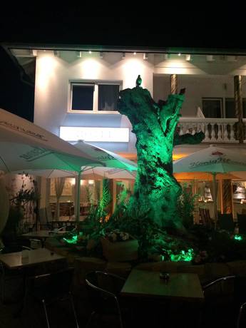 Imagen general del Hotel Restaurant Artemis. Foto 2