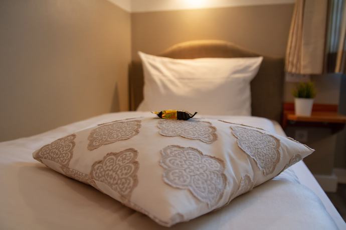 Imagen de la habitación del Hotel Restaurant Bastei. Foto 17