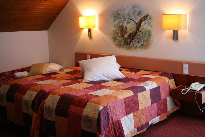 Imagen de la habitación del Hotel Restaurant Ernenwein. Foto 4