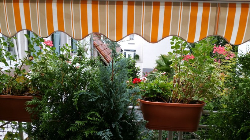 Imagen de la habitación del Hotel Restaurant Landhaus Rebstock. Foto 15
