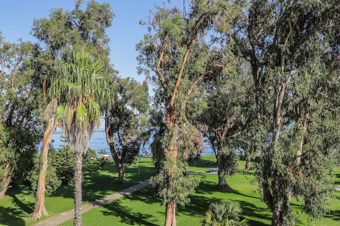 Imagen de los exteriores del Hotel Restaurant San Lucianu. Foto 17