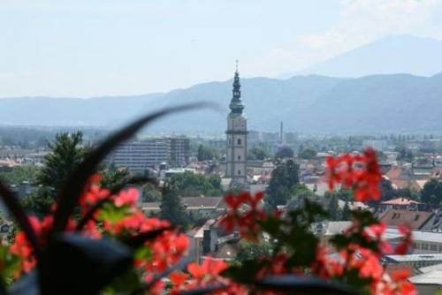 Imagen general del Hotel Restaurant Schweizerhaus. Foto 10