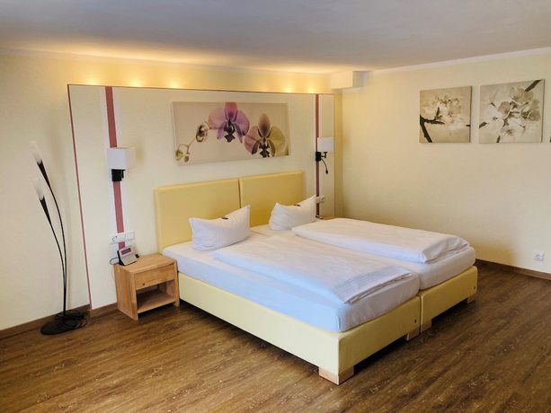 Imagen de la habitación del Hotel Rheingraf. Foto 9