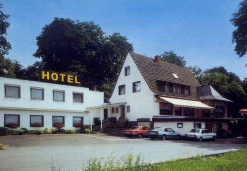Imagen general del Hotel Rheinkrone. Foto 2