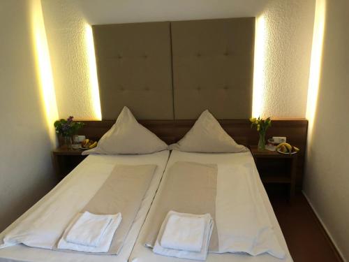 Imagen de la habitación del Hotel Riede. Foto 5