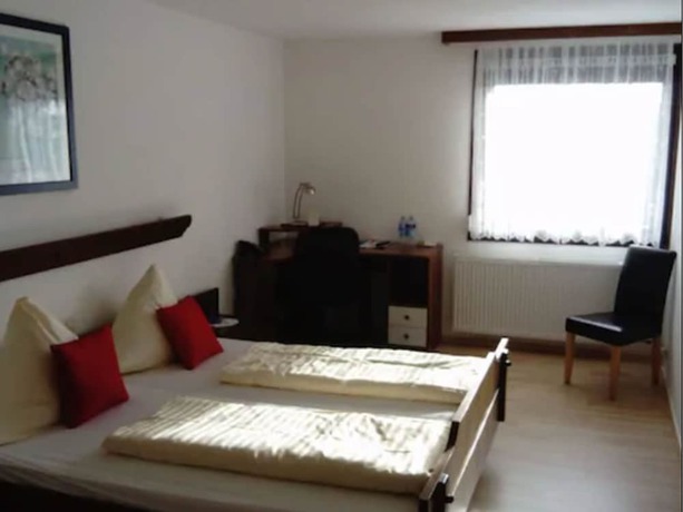 Imagen de la habitación del Hotel Ritter Dauchingen. Foto 2