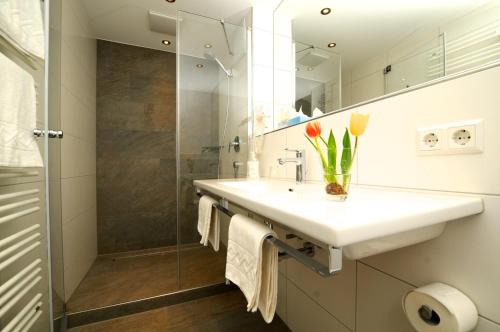 Imagen general del Hotel Ritter, Tettnang. Foto 3