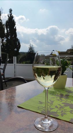 Imagen de los exteriores del Hotel Robinienhof. Foto 13