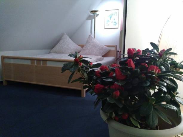 Imagen de la habitación del Hotel Rodewisch. Foto 12