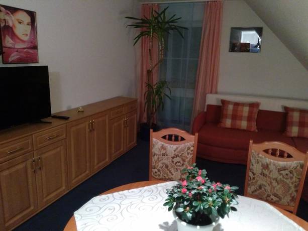 Imagen de la habitación del Hotel Rodewisch. Foto 14