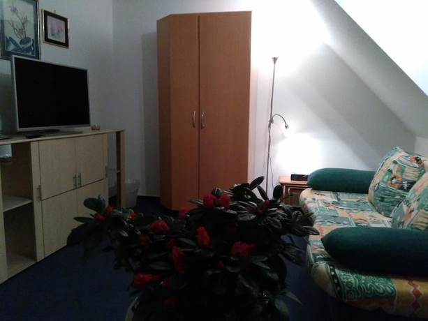 Imagen de la habitación del Hotel Rodewisch. Foto 15