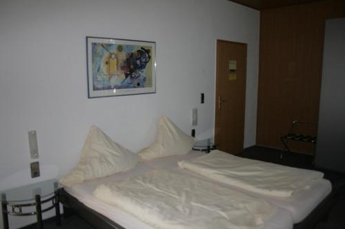 Imagen general del Hotel Rom&auml;us. Foto 8