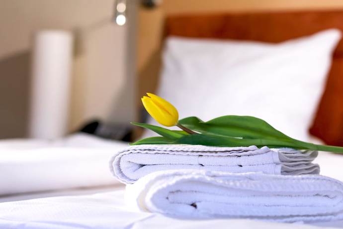 Imagen de la habitación del Hotel Rose, Weissenburg in Bayern. Foto 19