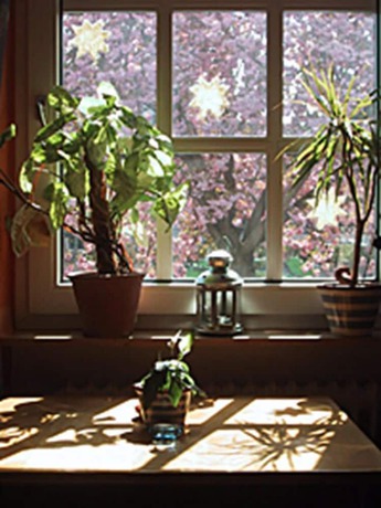 Imagen de los interiores del Hotel Rosengarten Kehl. Foto 10