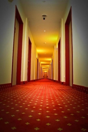 Imagen general del Hotel Rosenstadt. Foto 7