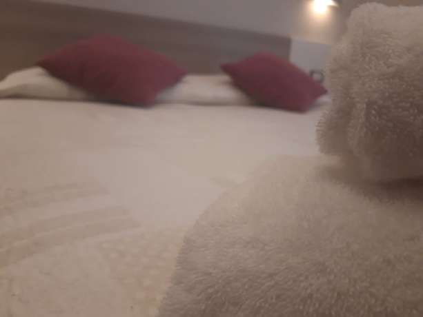 Imagen de la habitación del Hotel Rosmari. Foto 14