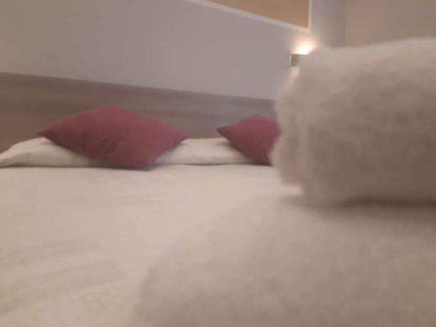 Imagen de la habitación del Hotel Rosmari. Foto 20