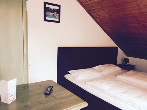 Imagen de la habitación del Hotel Roter Kater. Foto 8